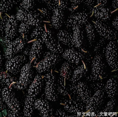 只要做到这一点，你就能成功减肥