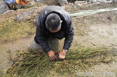 山沟里的弟弟