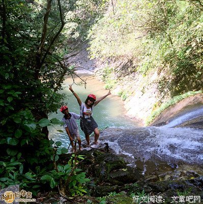  盘中的阳光之味
