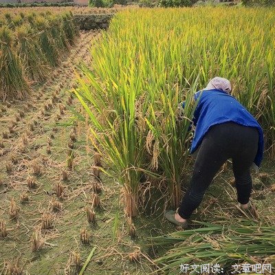 我快想不起你的样子了，也许我应该把你忘记了