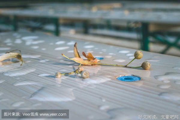 买啤酒还是买面霜