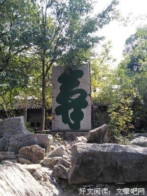  与三毛做文友