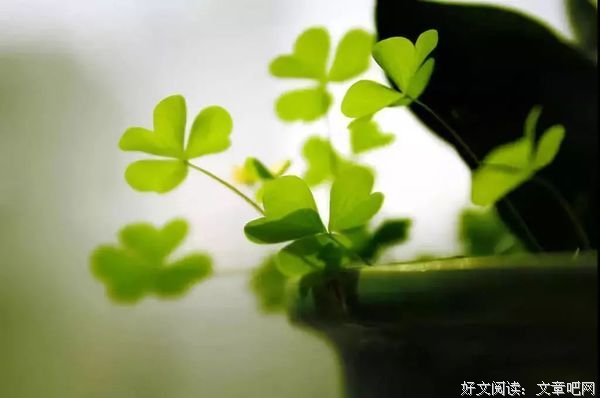 歌词·幸福是······新律·有爱二首