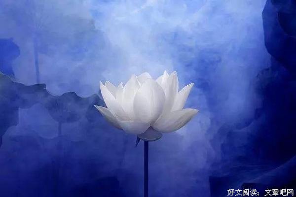 沙海铁迪断句二十则 92