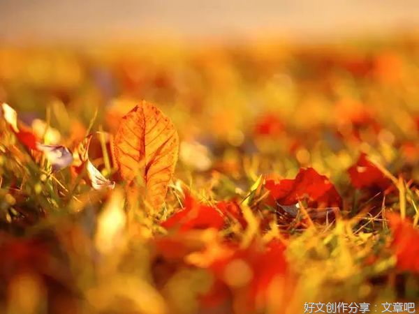 沙海铁迪断句二十则 108