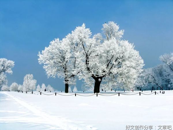 沙海铁迪断句二十则 114