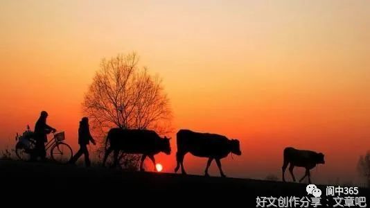 沙海铁迪断句二十则 120 · 新律·少年读书春光好