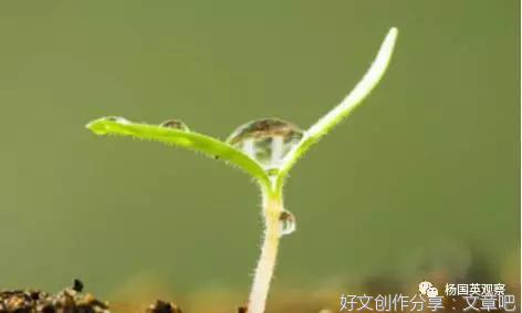 诗歌·把种子交给春天 等