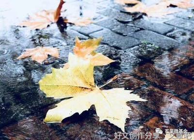 一丝牵挂就好，不必深深眷恋