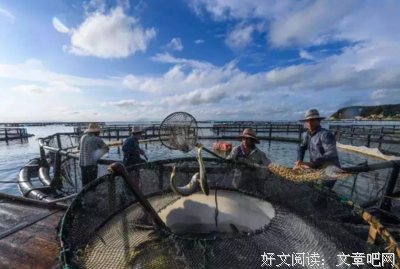 多吃黄花鱼，提高免疫力。烤黄花鱼做法在这里，超好吃！