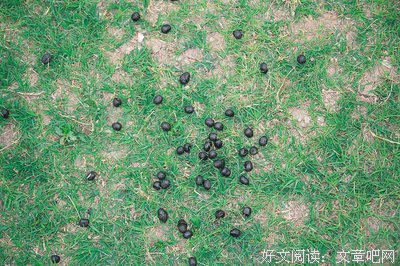 不一样的支教