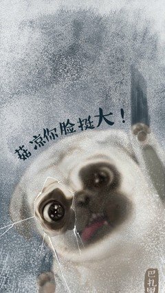 罗振宇减肥励志