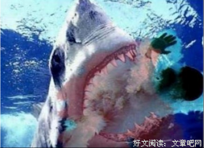树立正确的上网冲浪观
