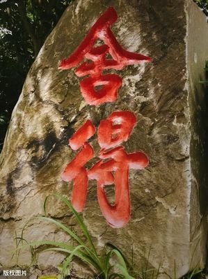 董小姐｜一瓢冷水
