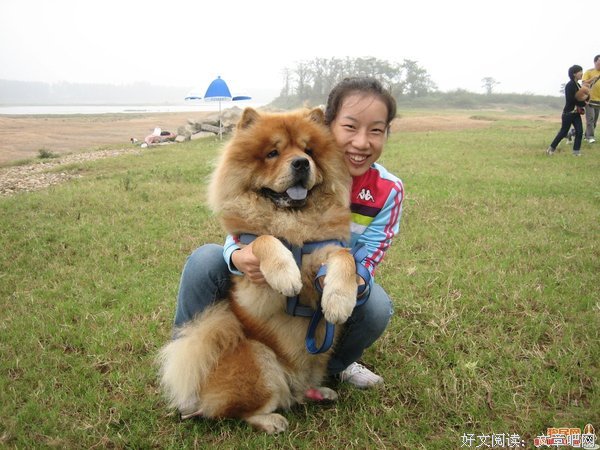 我和她的故事不体面的开始，之后发生的一切让人泪目。