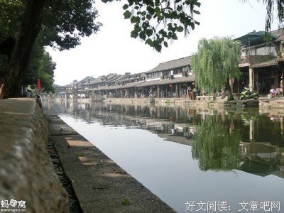 没有人再和你相依为命