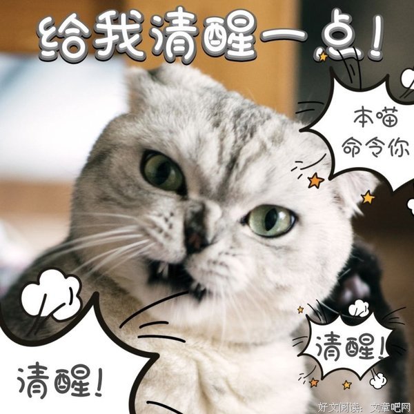 某些男人活该做单身狗