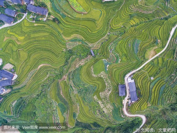想要一张新冠地图