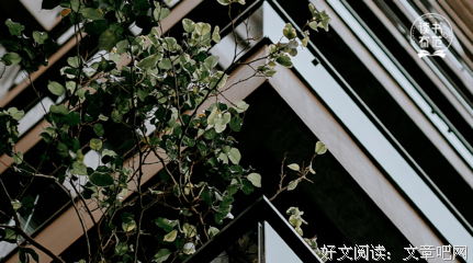 人越来越沉默，原因不是心寒，不是无奈，而是……
