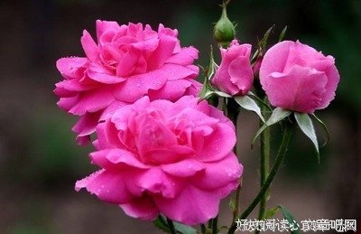 “天狂有雨，人狂有祸”：一个人再有本事，也别说这三句话！