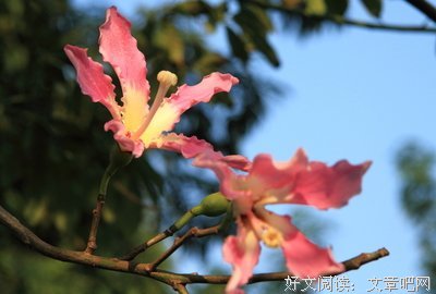 异性关系再好，如果你收到这四种暗示，就算了，别强求