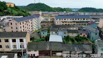 张忌《南货店》读后