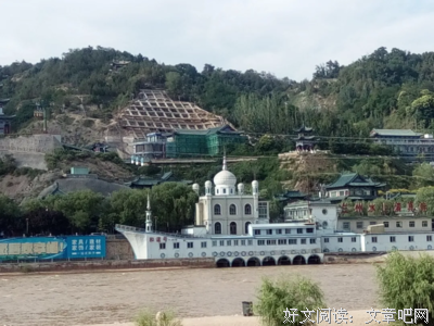 在信息洪流中