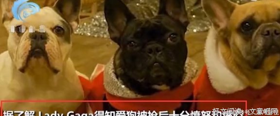 有时候人真的比狗贱多了