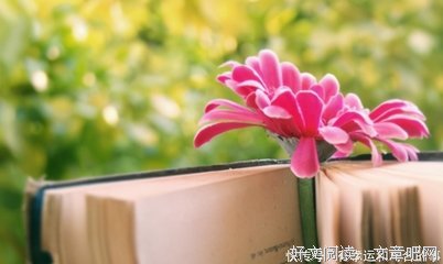 聪明女人和笨女人，最大的区别在朋友圈，看一眼就明白了