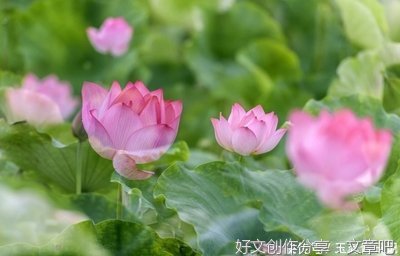 一夜入了秋