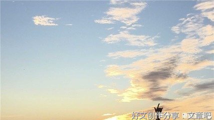 合作的智慧只有一条路径，宽容