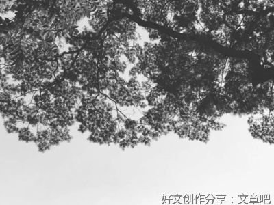 知所先后则近道矣