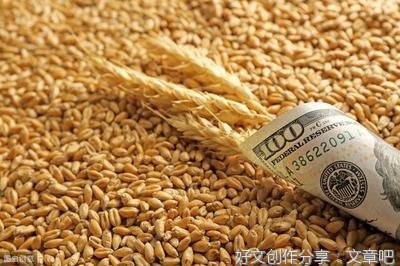 你要不要囤点粮