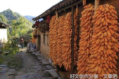 她只值八万块钱