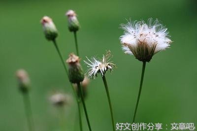 致女人：不想在感情里饱受折磨，就学会“断舍离”