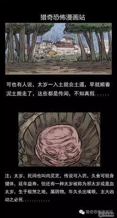 灵异实录：投胎