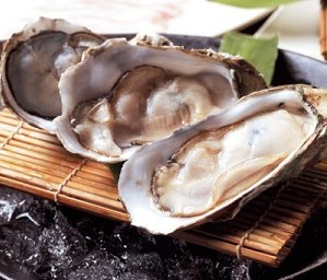 不老仙丹