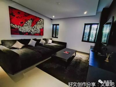 让这群大象走上春晚，是国人17个月的浪漫