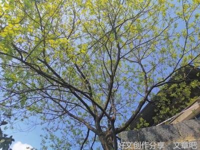 全网爱过的女孩去世10年了，我终于有勇气活下去
