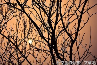 【夜读】为什么要过清明节，这是我听过最好的回答