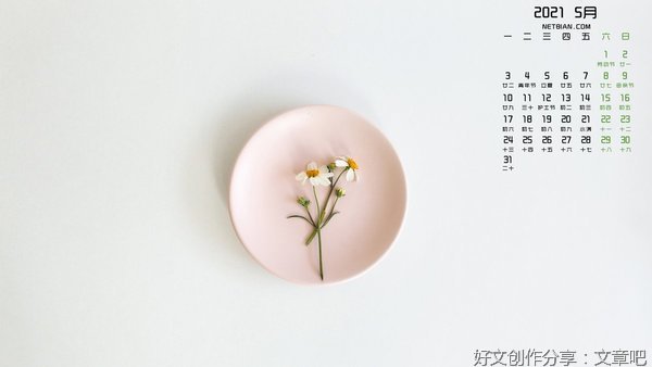 【夜读】5月你好：愿你心怀感恩，向阳生长