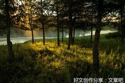 这里的清晨静悄悄