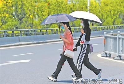 明知这是“造假”网红，还是追疯了