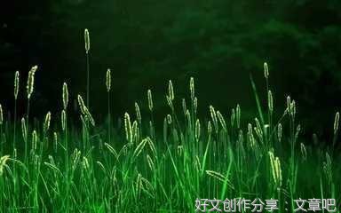 把生活调成静音模式