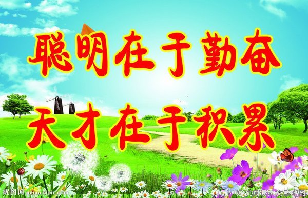 聪明可别用错了地方（小说）