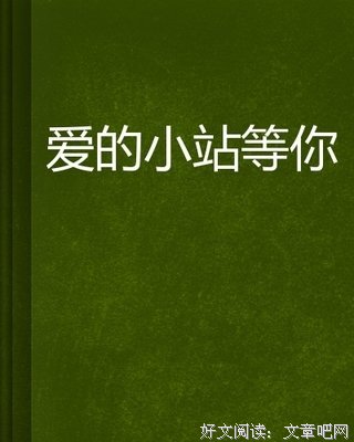 爱的神奇力量（小说）