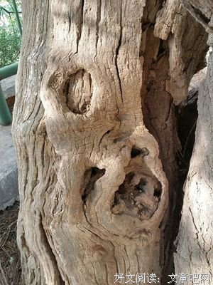 采风给我带来惊喜（小说）