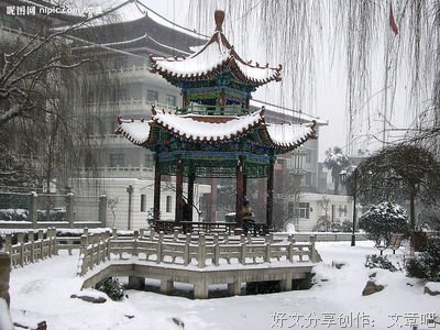 美好的约定（小小说）
