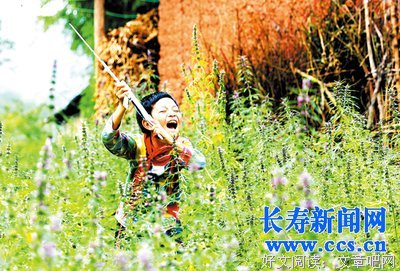 夏雷与趣味运动会