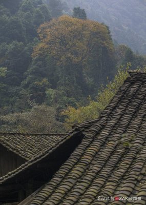 盼秋雨